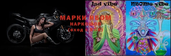 PSILOCYBIN Нефтекумск
