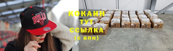 крисы Нея