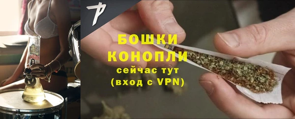 крисы Нея