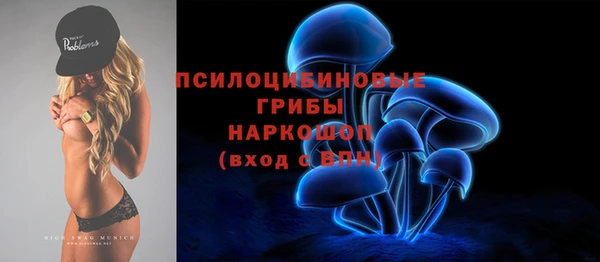 PSILOCYBIN Нефтекумск