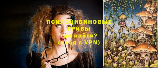 крисы Нея