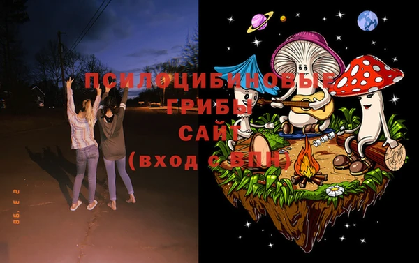 PSILOCYBIN Нефтекумск