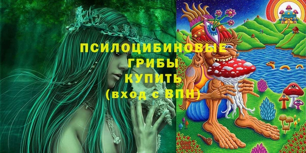 мдпв Надым