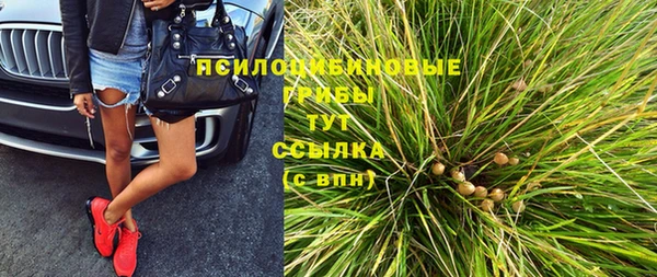 PSILOCYBIN Нефтекумск