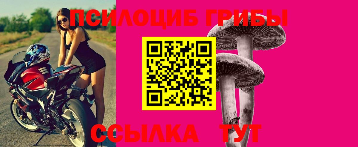 Псилоцибиновые грибы мухоморы Менделеевск