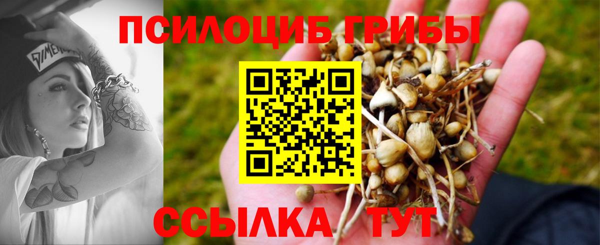 Менделеевск  Галлюциногенные грибы Psilocybe  Вход с VPN  Псилоцибиновые грибы ЛСД 